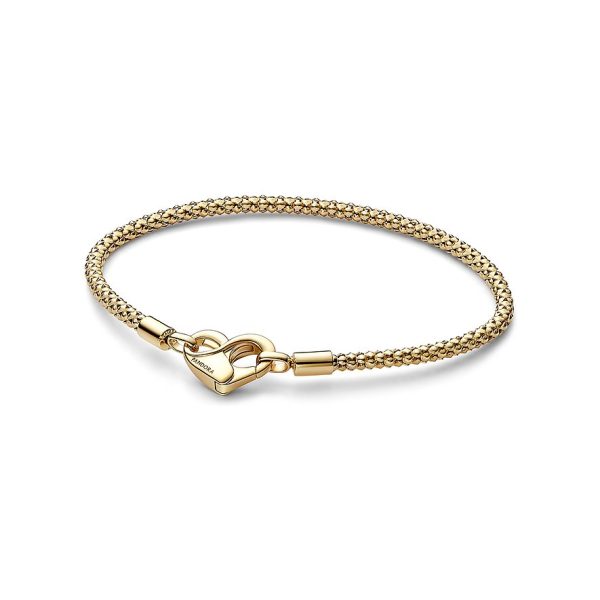 Pandora Armband Moments 562731C00-17