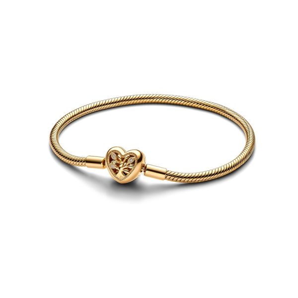 Pandora Armband Moments 563516C01-20